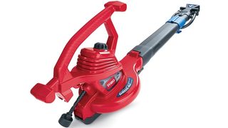 cordless leaf blower vacuum