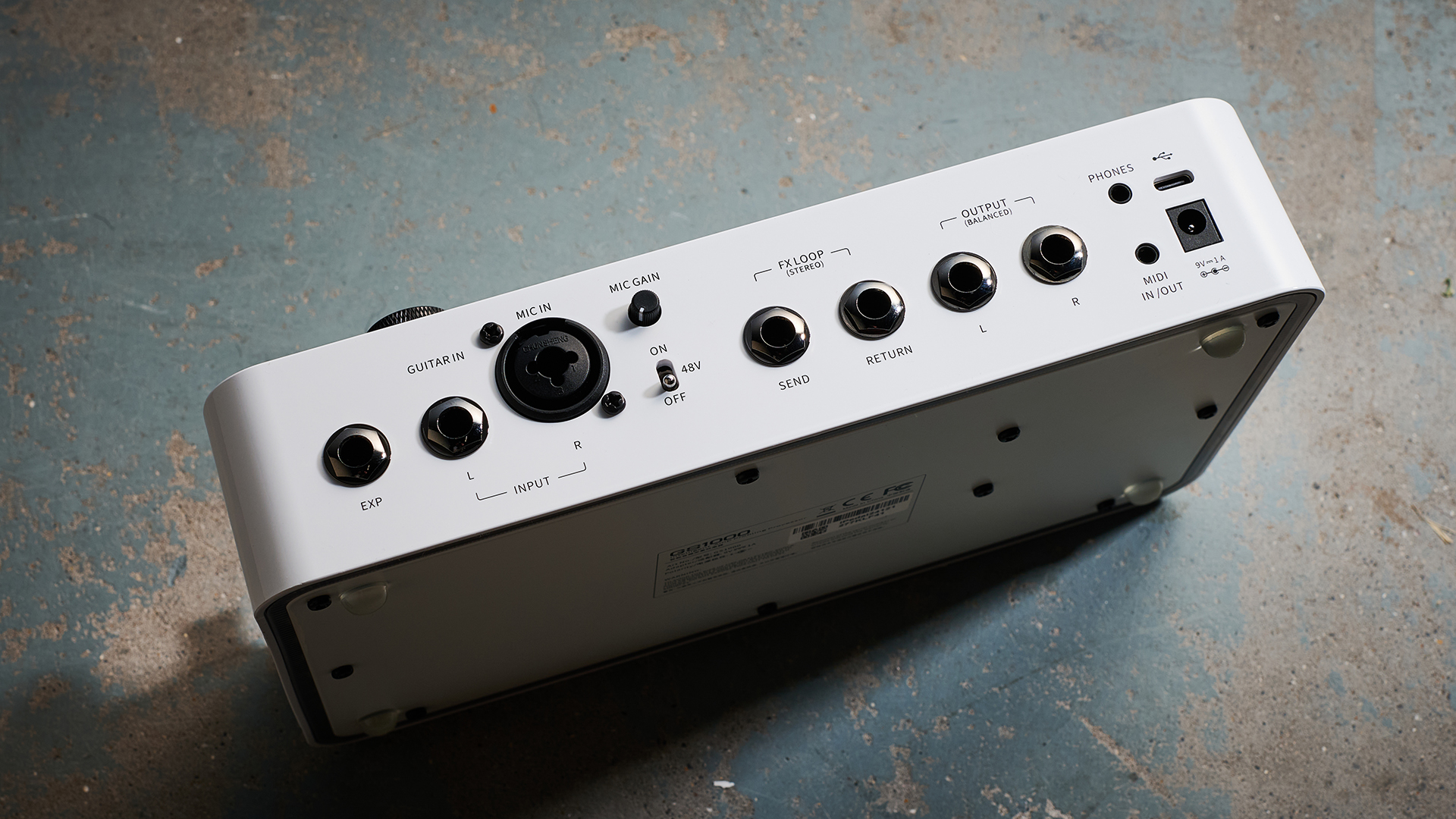 Mooer GS1000
