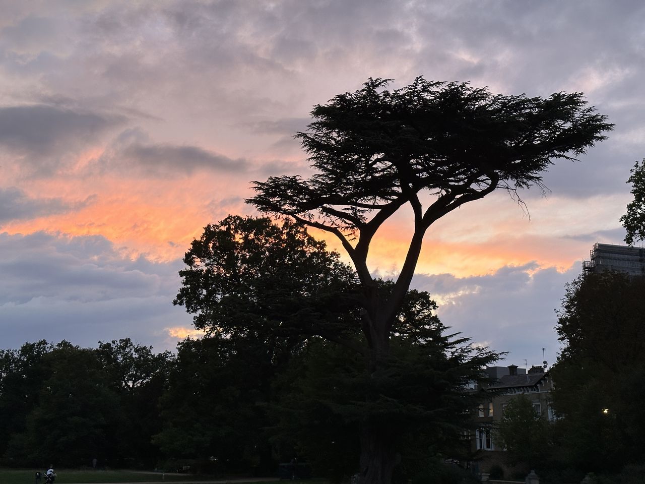 A photo captured on the iPhone 14 Pro Max