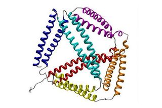 Structure of protein