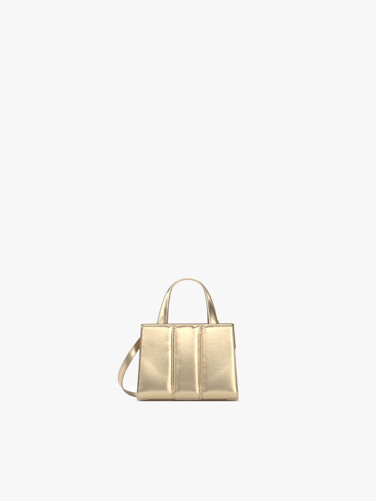 Whitneybag2met