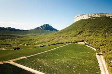 Languedoc_AOP-Pic-Saint-Loup-FABIEN-LAINE.jpg