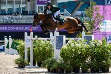Shane-Sweetnam-e1503692421184.jpg