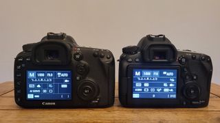 Image shows the 7D Mk2 and the 6D Mk2 next to each other