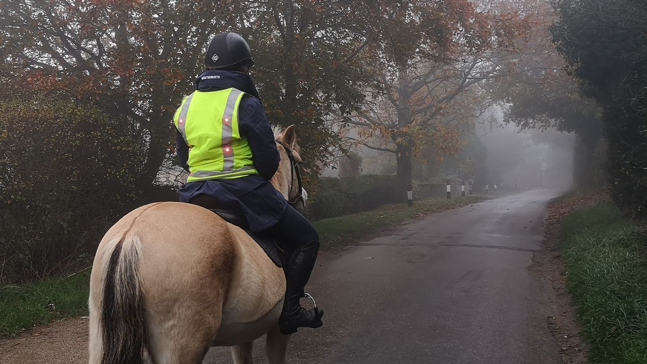 Vizirider Hi Vis Vest from rear