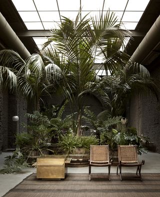 Seating area with large exotic plants and trees