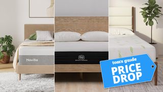 Composite image of the Napqueen Anula Green Tea Infused Memory Foam Mattress, Brooklyn Bedding 10" Gel Hybrid Mattress and Novilla Gel Memory Foam Mattress, with a Tom's Guide badge overlaid saying "PRICE DROP"