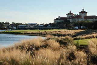 A general picture of the 18th hole at Tiburon Golf Club