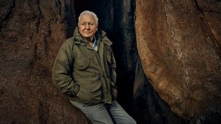 David Attenborough leaning against a cliff face