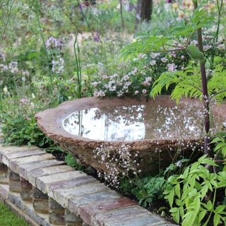 Water bowl at RHS Chelsea Flower Show