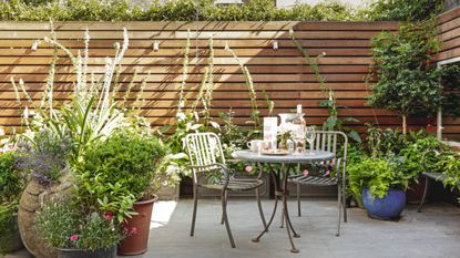 Garden filled with potted plants, set on a patio against wood panelled walls