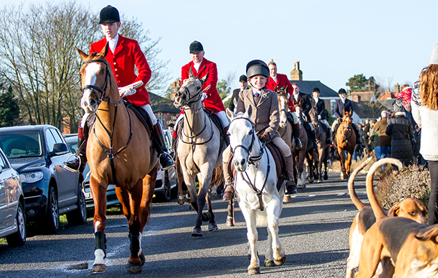 An impressive turnout: the Essex Foxhounds at Matching Green on Boxing Day