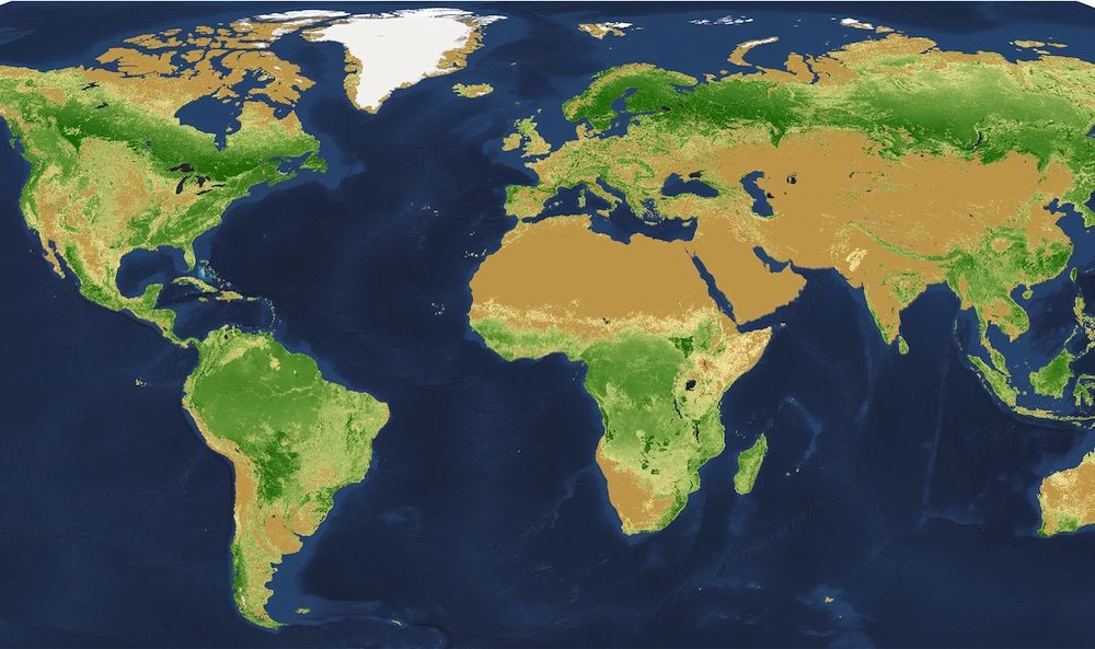 Tree Density Map