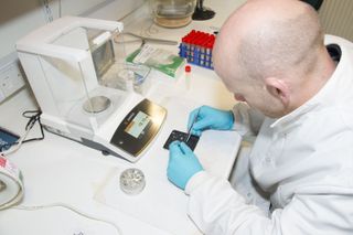 A researcher weighs collagen collected from the remains of Neolithic pigs for an isotope analysis.
