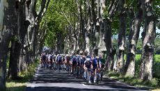 The Tour de France peloton on stage 13
