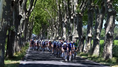 The Tour de France peloton on stage 13