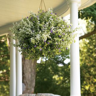 flower basket hanging from a front porch
