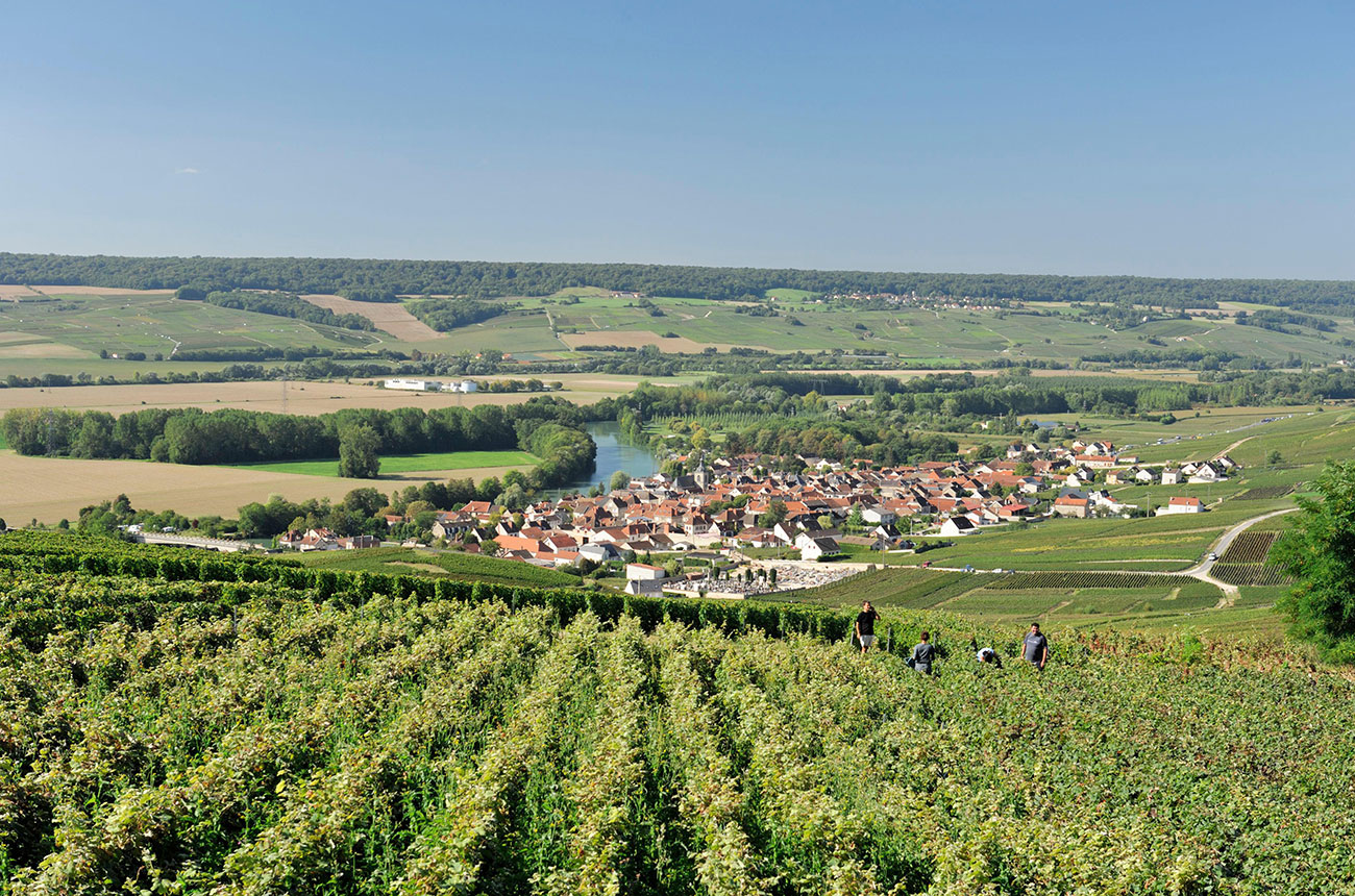 Marne Valley