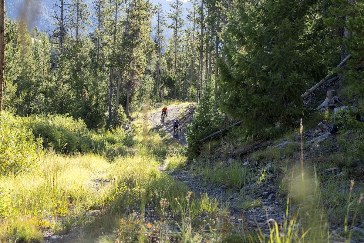 Rebecca's Private Idaho, stage 1 of the Queen's Stage Race