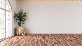 Hardwood flooring with a plant in the corner of the room