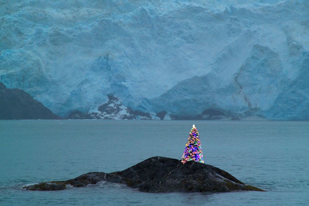 Electric Christmas Tree Lights Up Kenai Fjords National Park Live Science