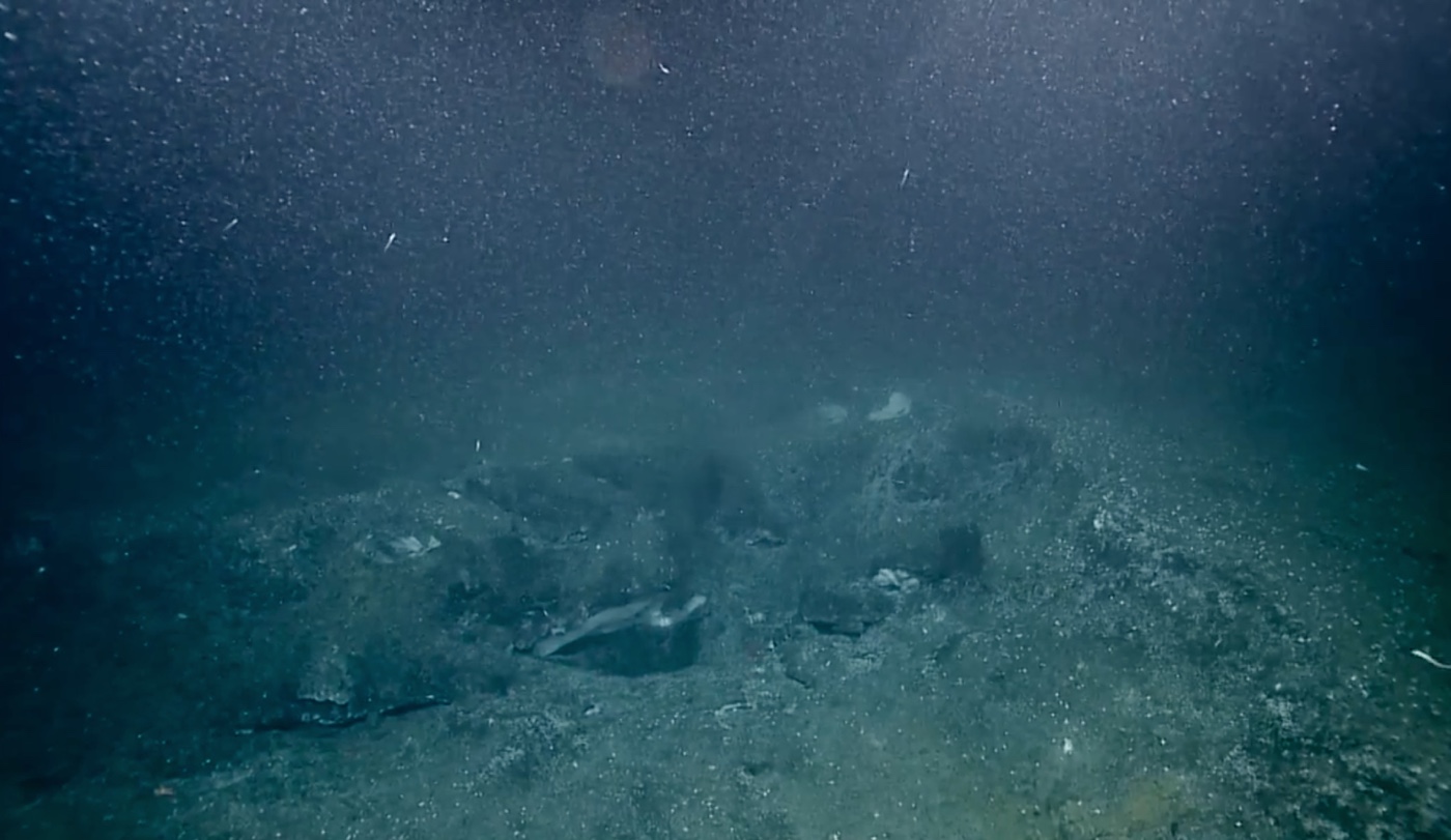 500 'Champagne' Methane Seeps Discovered Off Pacific Coast | Live Science