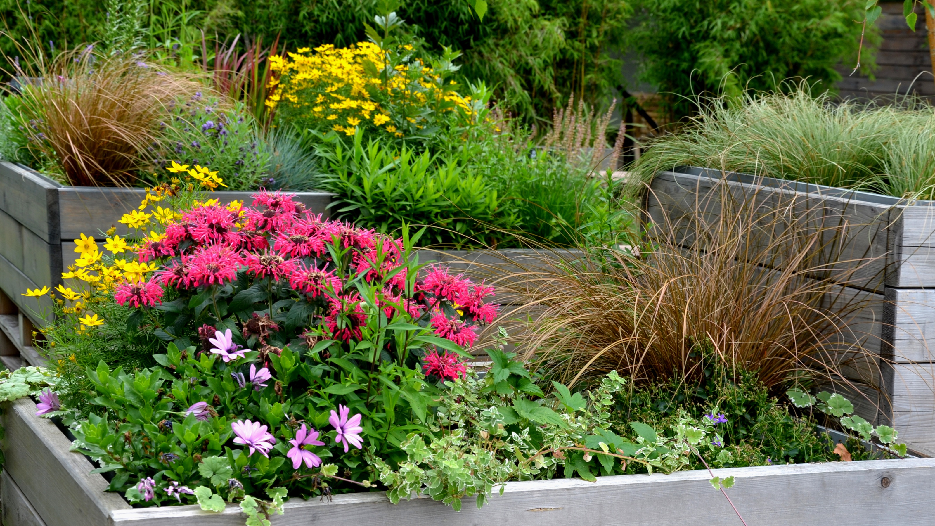 Tiered raised bed planted with late summer color
