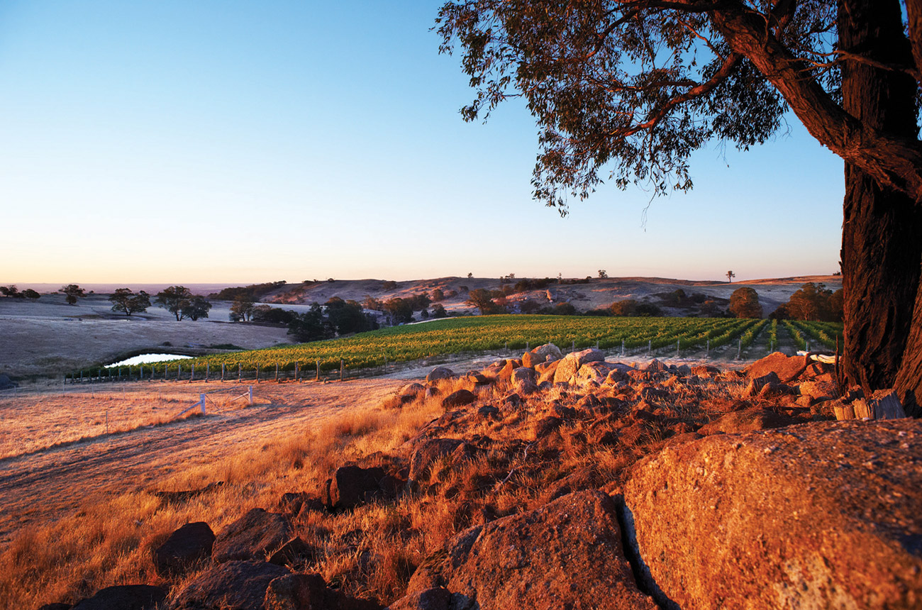 Fowles Winery in Victoria's Strathbogie Ranges.