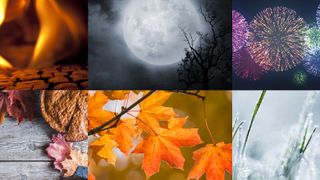 Seasonal images for Halloween, Thanksgiving, Autumn/Fall and more