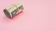 money rolled up on pink background for story on the pink tax