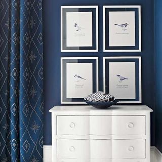 navy blue walls with curtains and frames