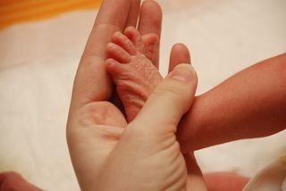 Newborn baby feet.