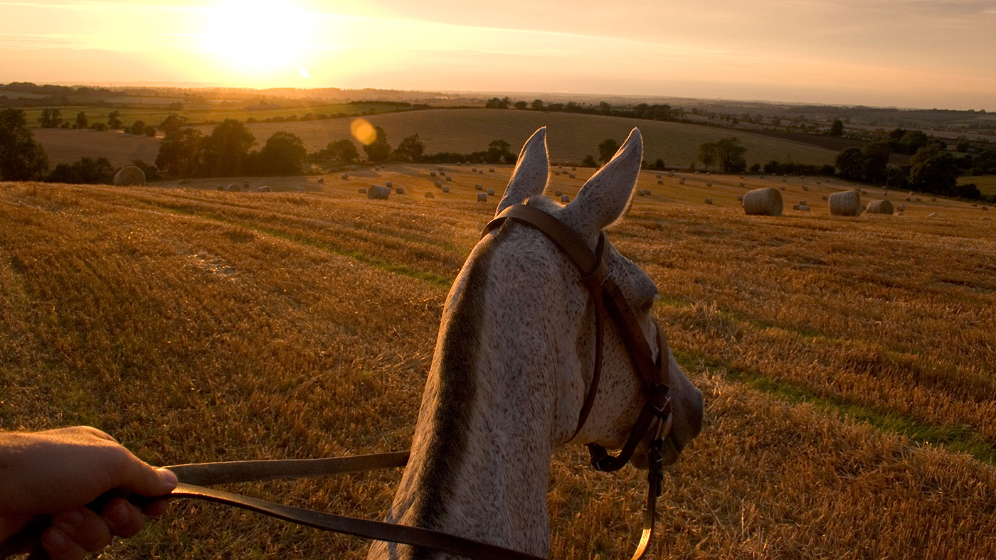 Horse riding over open stubble fields in Leicestershire