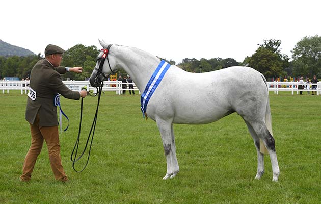 3 Three Counties Show 17 06 2018