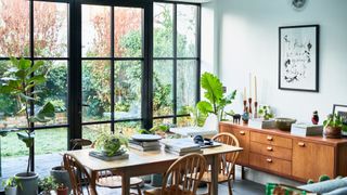 A room filled with plants and big windows