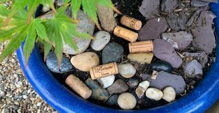 Blue plant pot with slate, stones and wine corks to stop pests