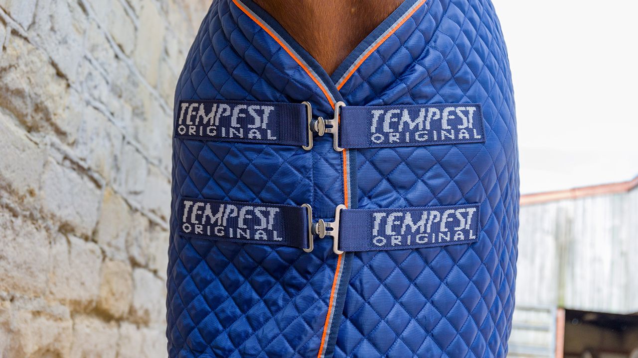Shires Tempest Original Thermo Quilt rug review