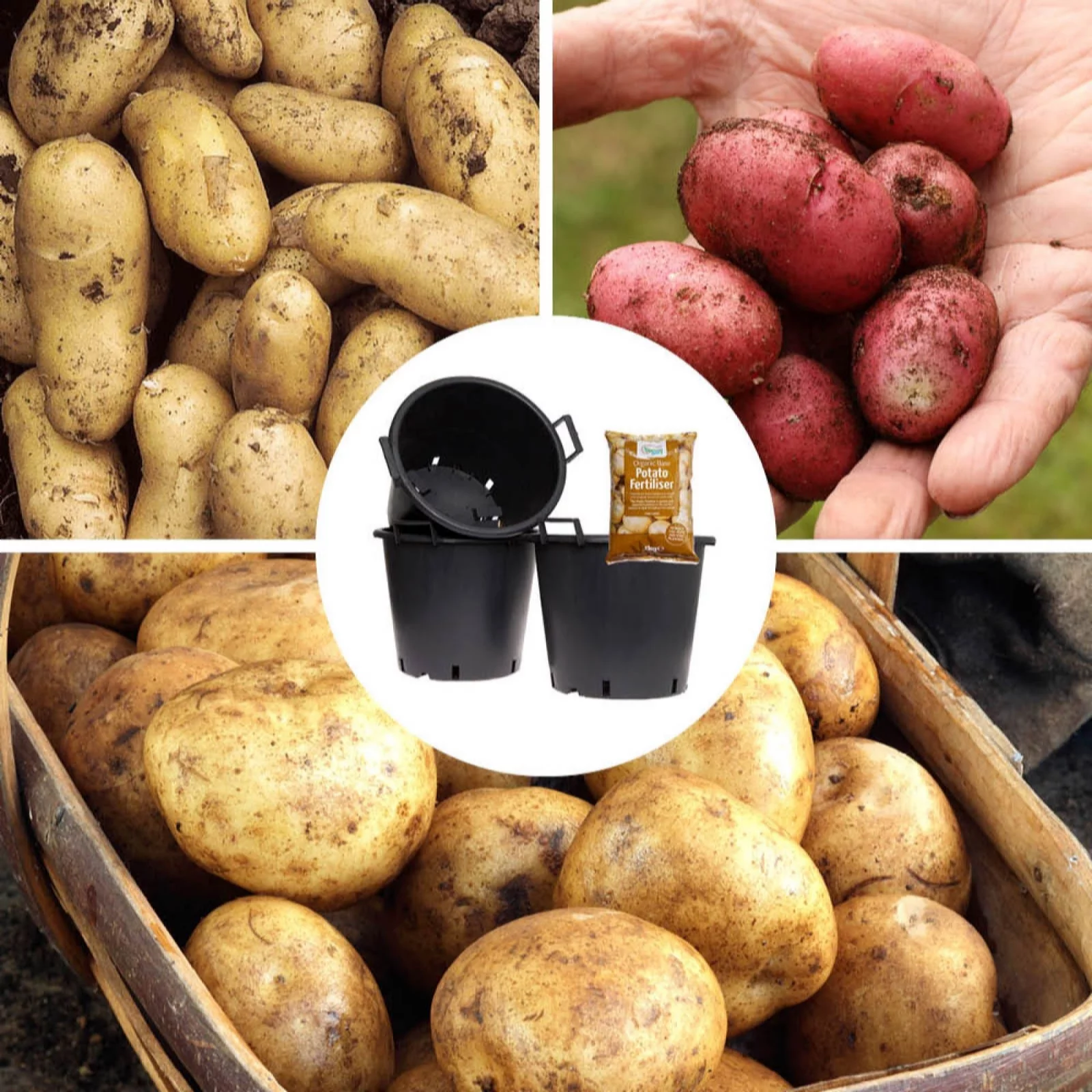 Yougarden Potato Growing Kit (3 Varieties) 3x Heavy Duty Pots