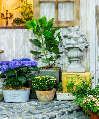 Assortment of vintage pots on balcony