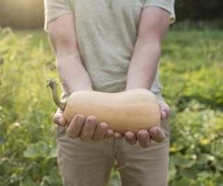 Hands holding a butternut squash