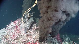 The discovery of abundant ecosystems around deep-sea hydrothermal vents in the 1970s changed biologists' beliefs about the requirements for life. Could similar ecosystems exist on the ocean-covered moons?