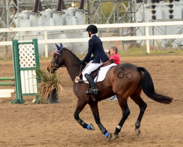 “This is my daughter Isabel and her horse Stanley. She’s big into Harry Potter! This was taken at Fresno Country Horse Park Horse Trials in Fresno, California” — Nicola Svec