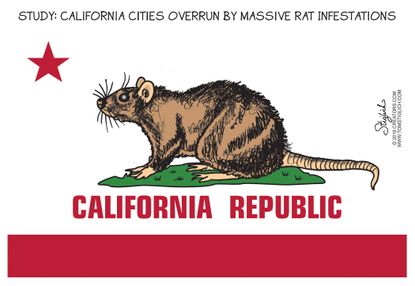 Editorial Cartoon California Republic Rat Infestation