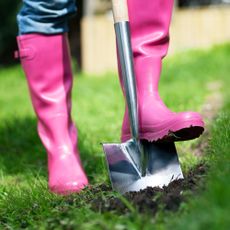 person wearing pink wellies using a spade to dig into a lawn, perhaps to check for grub worms