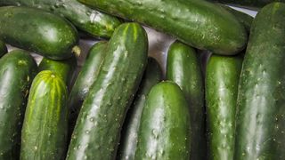 A close up of large, dark green cucumbers in a pile