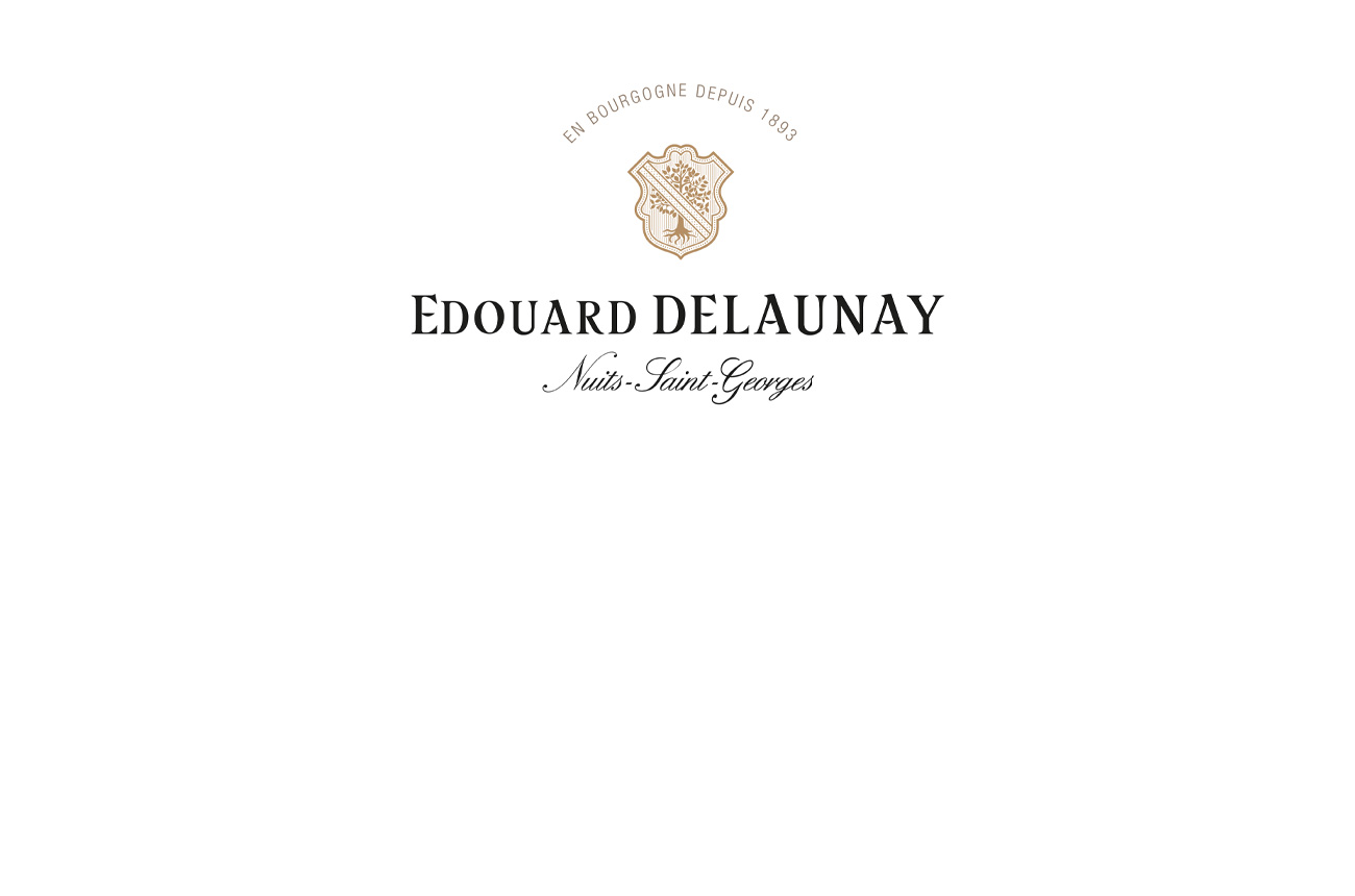 E-Delaunay_footer.jpg