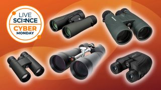 binoculars on an orange background with a cyber monday logo