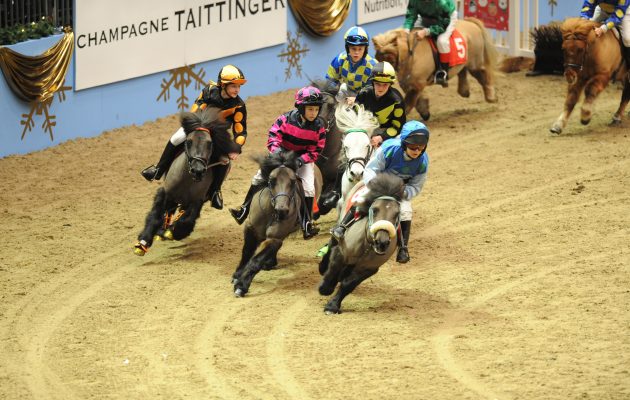 The big finale Shetland Pony Grand National