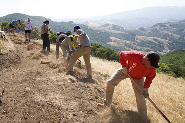 The Whole-Athlete Specialized Team does some trail work