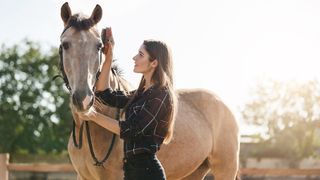 Woman brushing buckskin horse with bridle